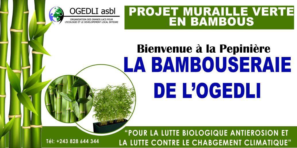 Projet Muraille Verte en Bambous