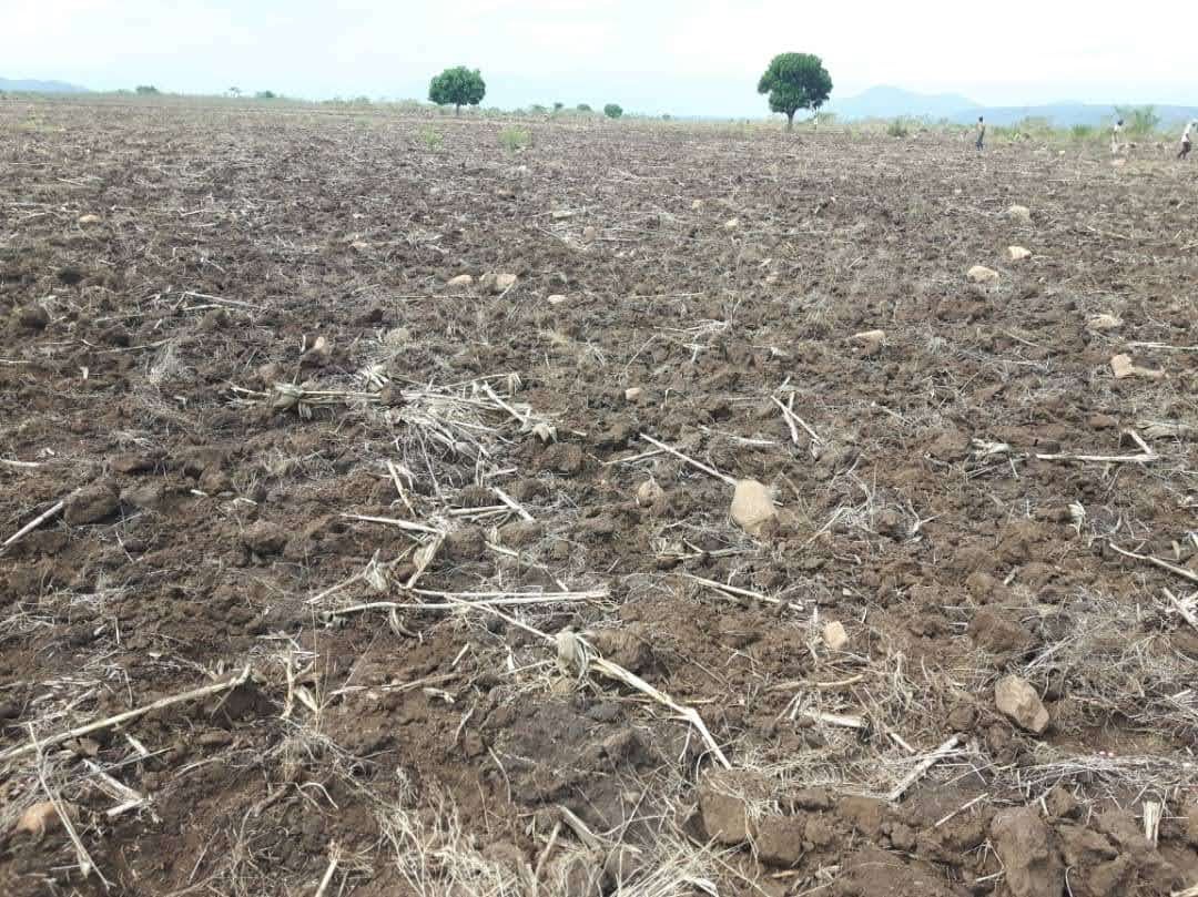 Preparation des terrains pendant la Saison Agricole